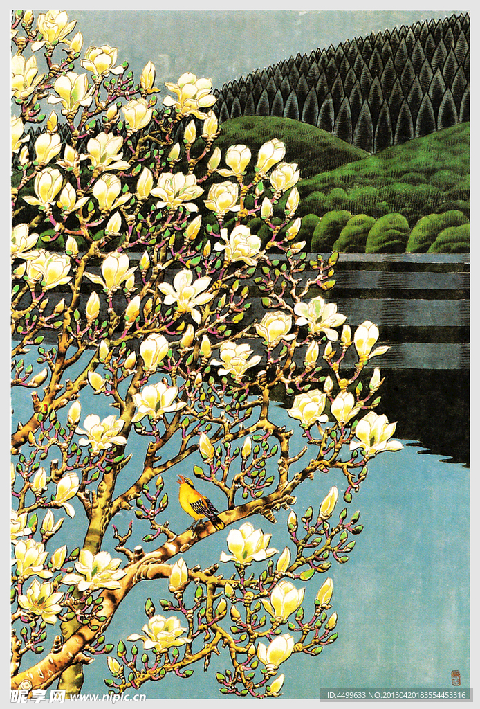 玉兰花