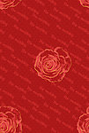 抽象玫瑰花
