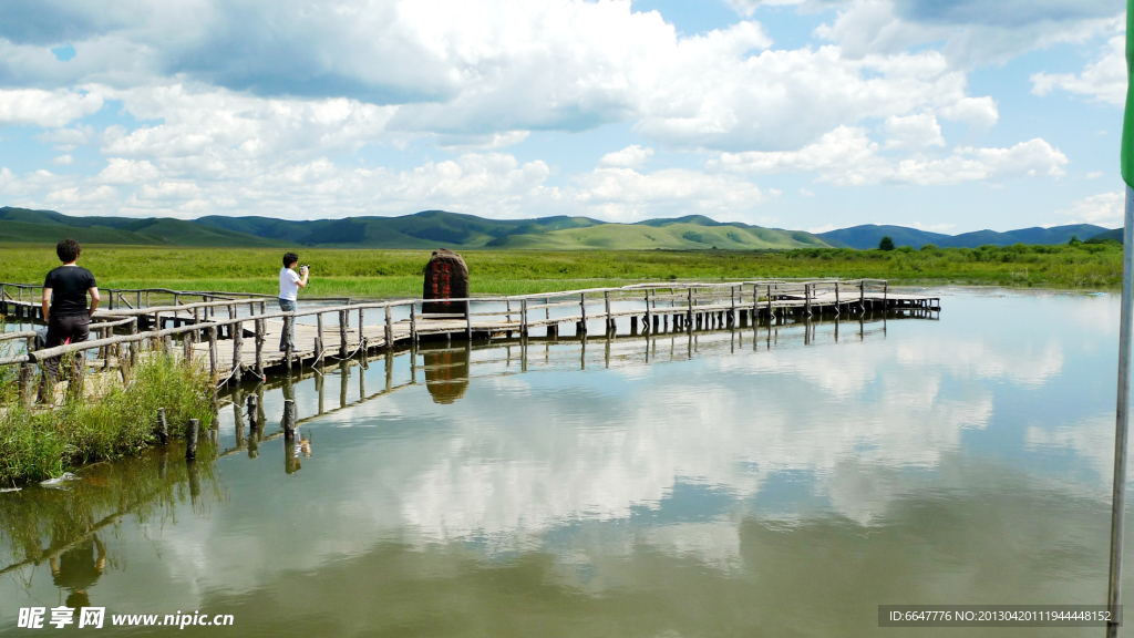 湿地公园