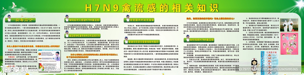 H7N9 宣传栏