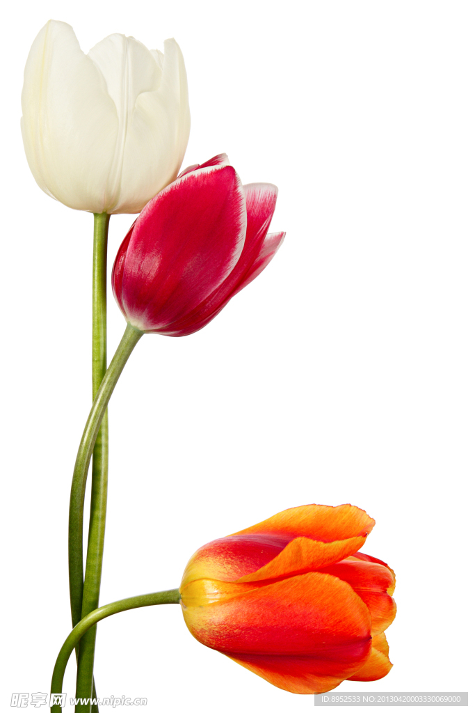 鲜花