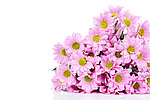 鲜花