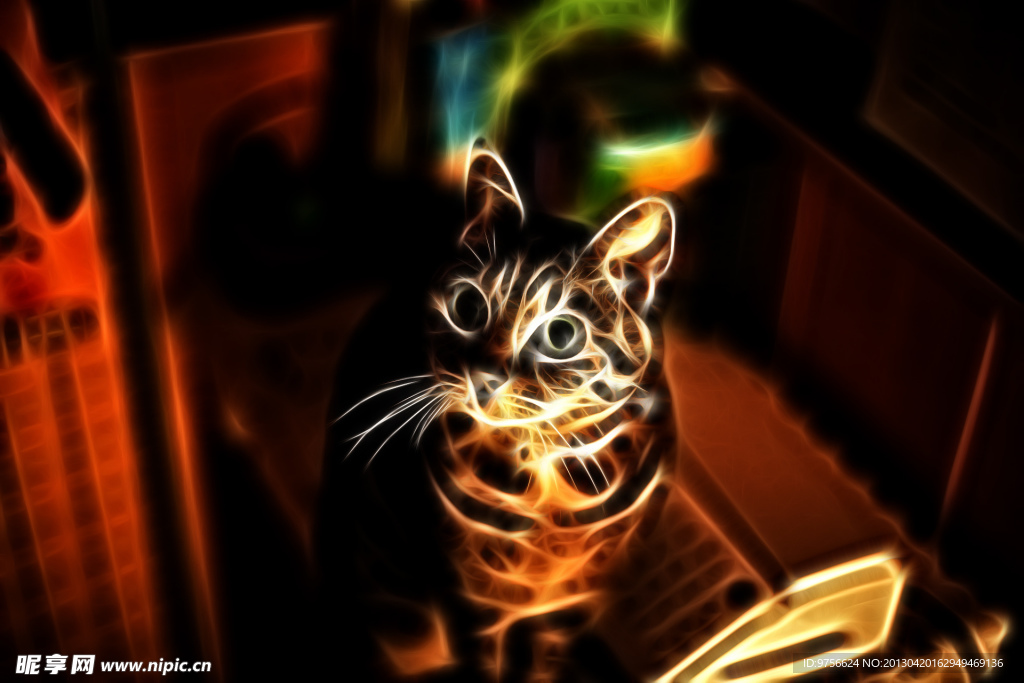 猫猫