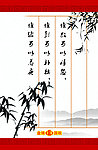 国税 展板