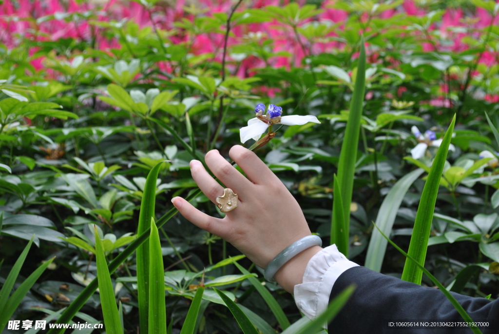 花海赏花