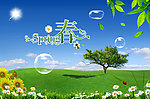 春天海报