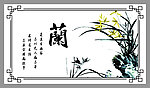 兰花