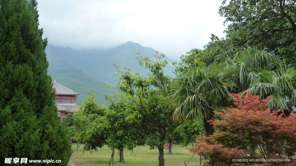 寺前绿化