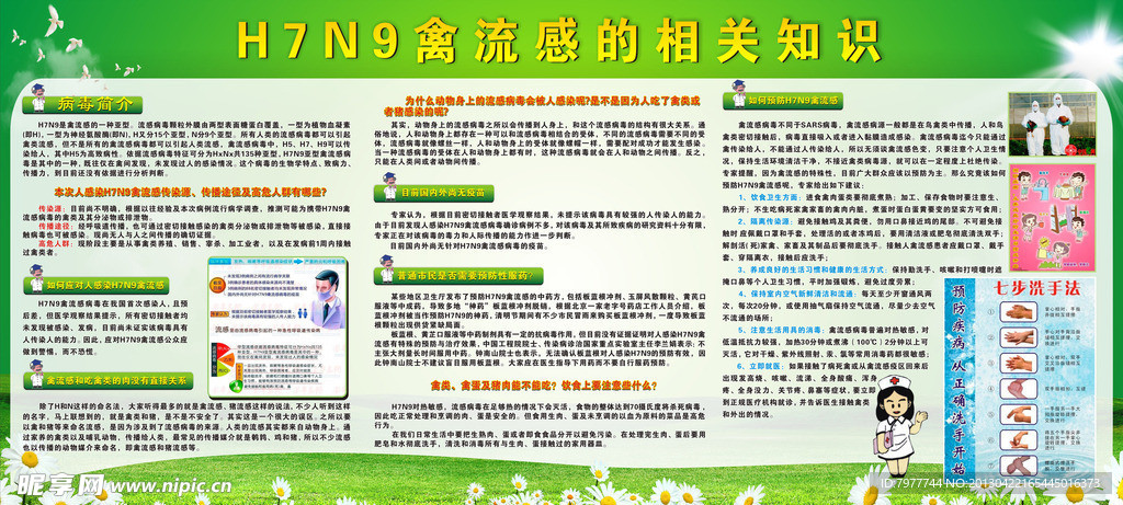 H7N9宣传单