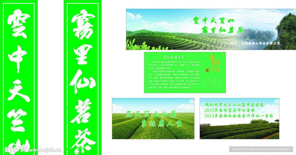 茶园