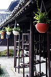 庭院