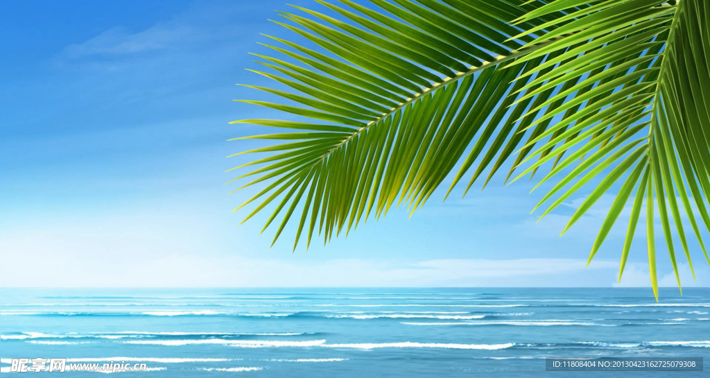 大海椰树高清视频素材