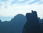 高山