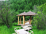 夏天木屋建筑景致