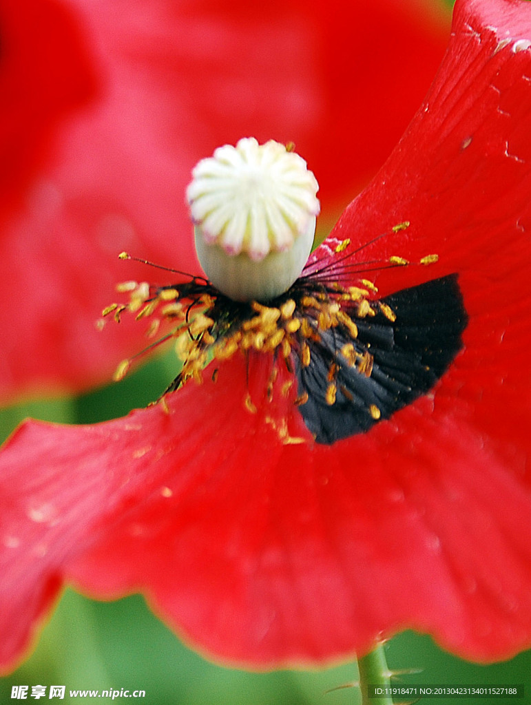 大烟花