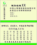 中国人寿名片