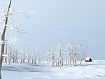 雪景max源文件