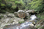 杜鹃山峽谷