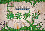 雅安芦山地震海报