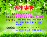 绿叶中队