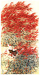 芦苇