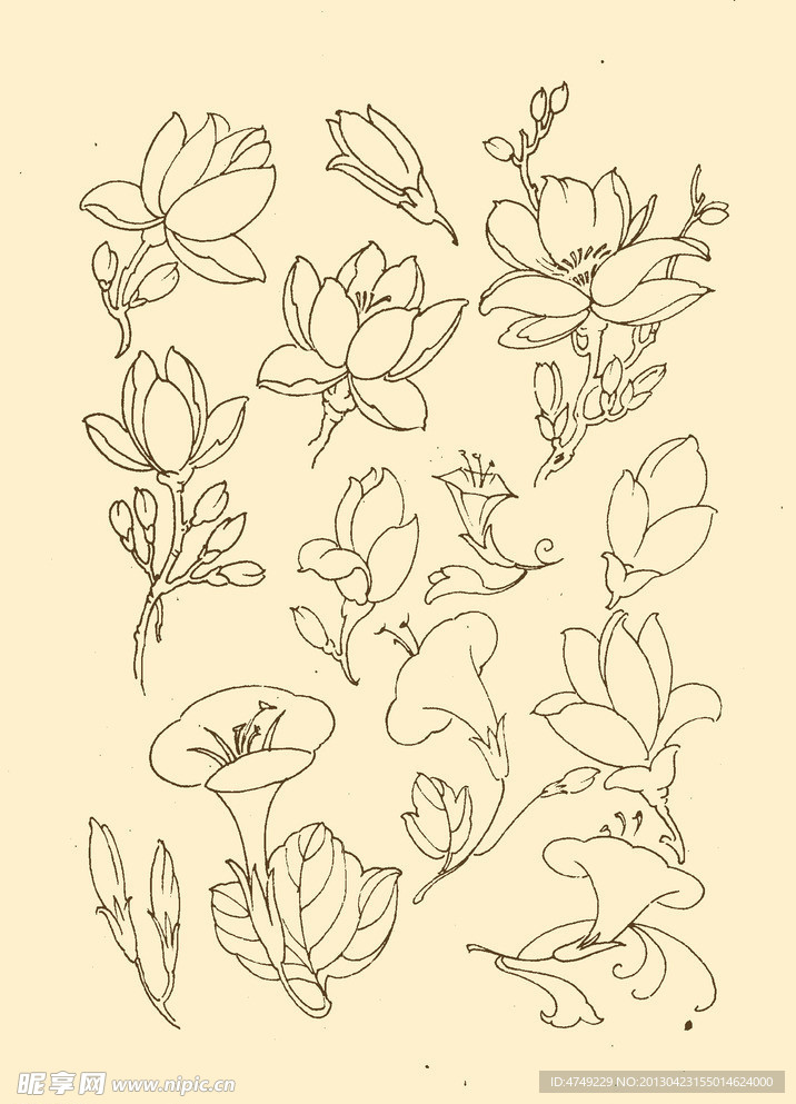 花卉纹样