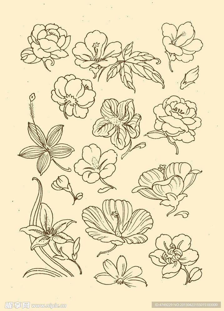 花卉纹样