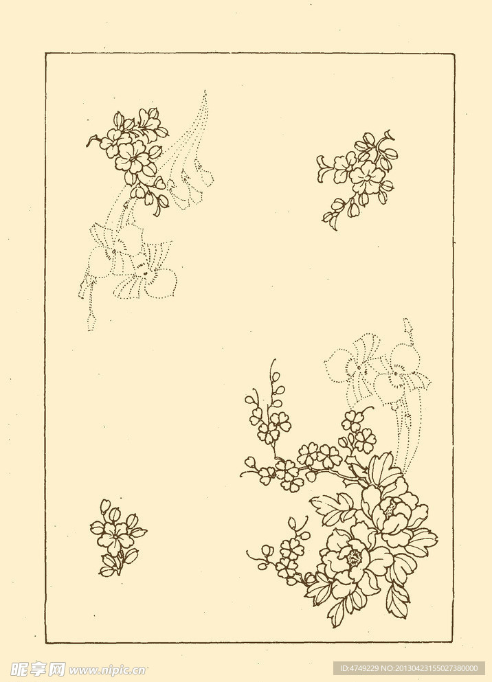牡丹花卉