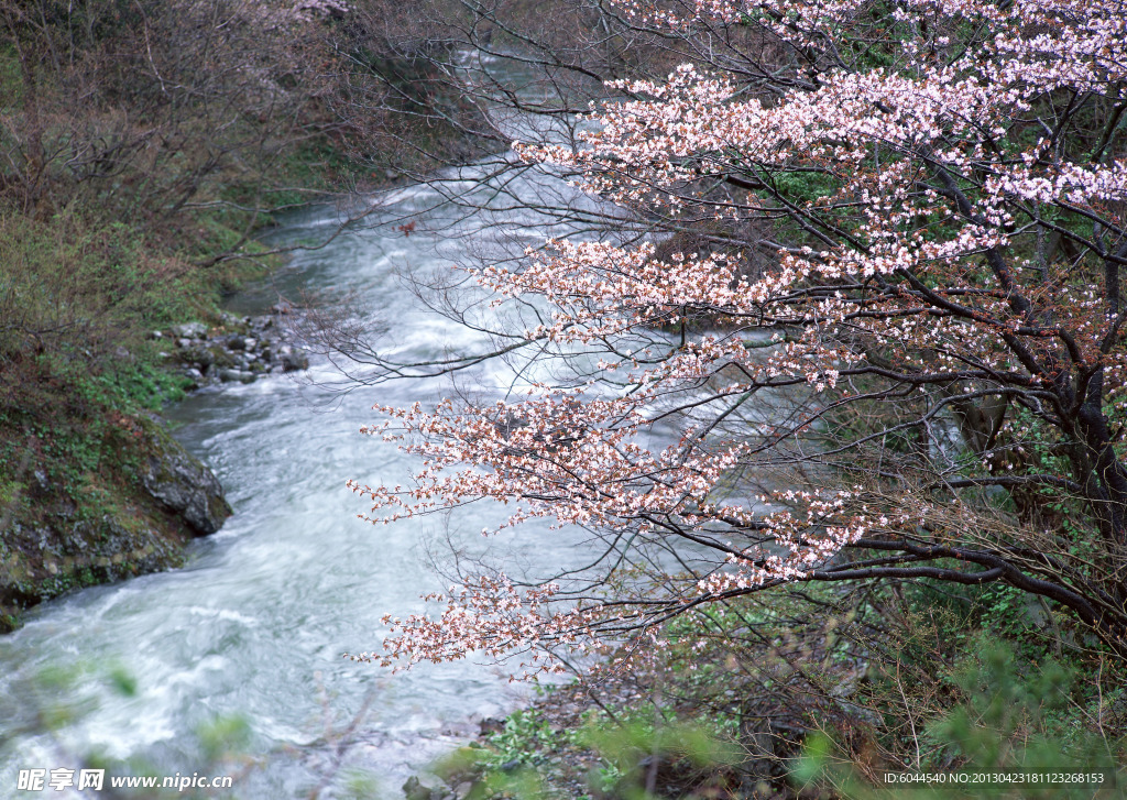自然 山水 河流