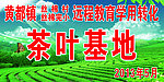 茶叶基地