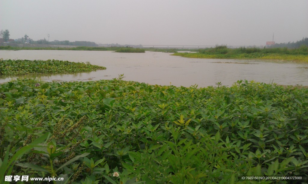鸭子河湿地生态