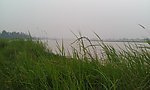 河边湿地