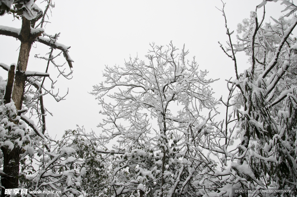 雪景