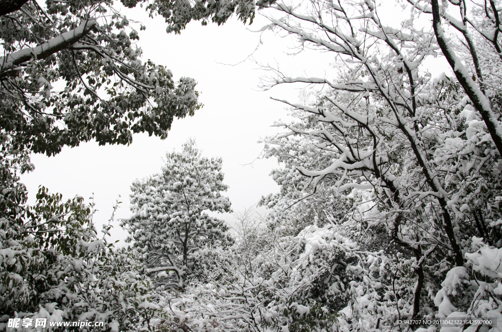 雪景