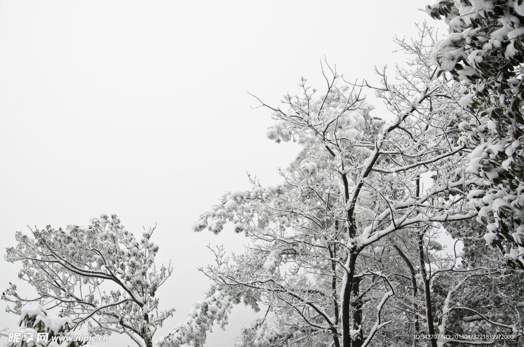 雪景