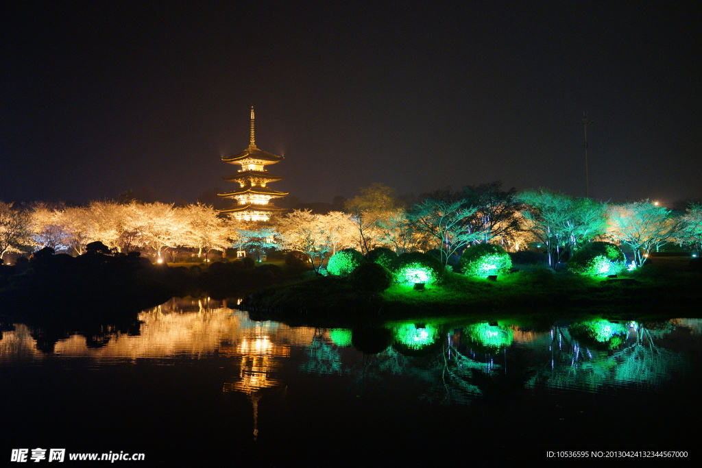 樱花园夜景