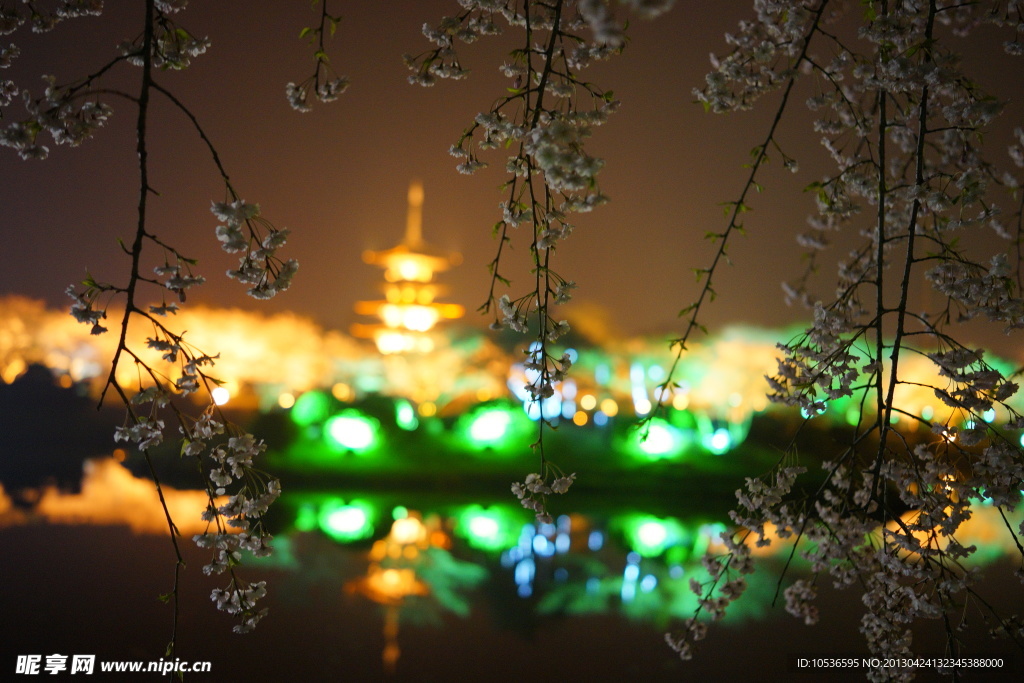 樱花园夜景