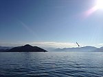 海阔天空