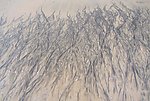 沙滩画