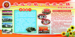 学校板报