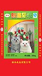 新猫牙米