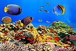 水族馆 海底世界