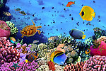 水族馆 海底世界