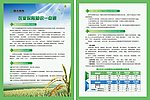 国元单页