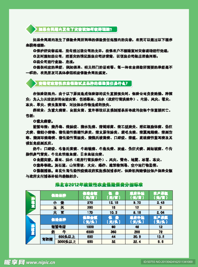 国元单页