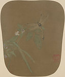 宋 佚名 豆荚蜻蜓图