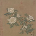宋 马远 白蔷薇图