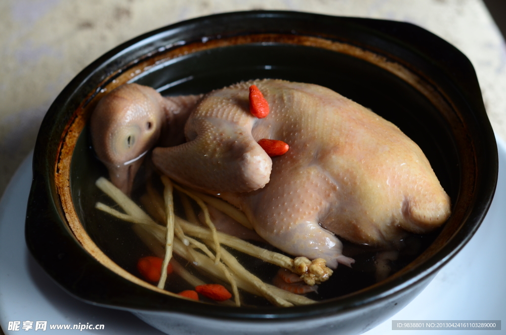 鸽子煲