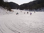 滑雪