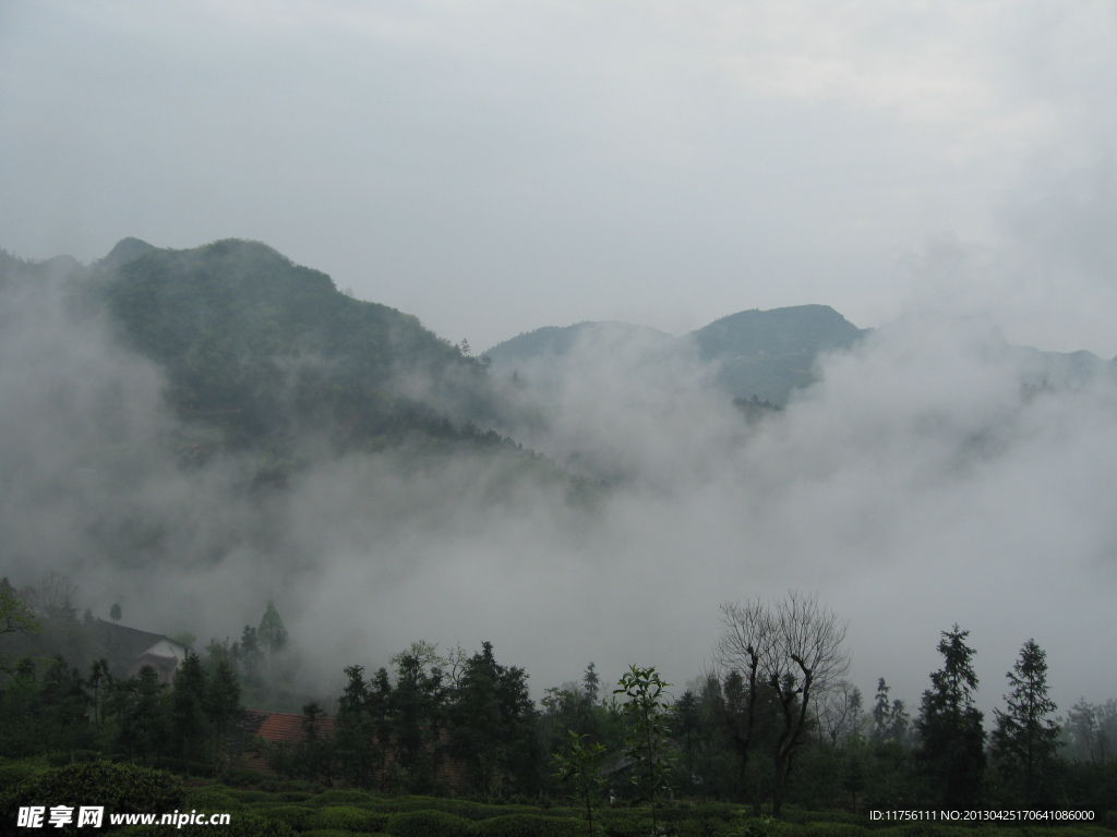 云雾风景